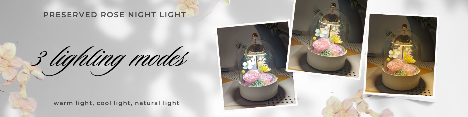 Mystic Rose Preserved Flower Night Light