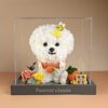 Preserved Flower Bichon Love Box Good Things Happen