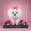 Preserved Flower Bichon Love Box Donut