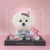 Preserved Flower Bichon Love Box-birthday