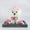 Preserved Flower Bichon Love Box-pink Bowknot